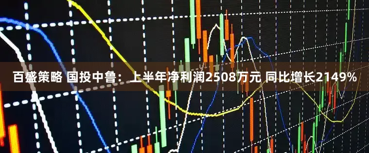 百盛策略 国投中鲁：上半年净利润2508万元 同比增长2149%